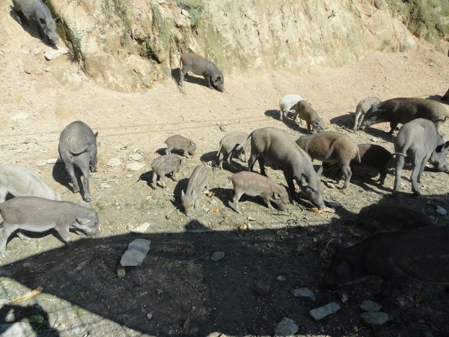 ������Ȧ(�й�����)-Ϊdu����