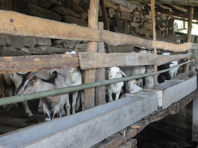 ������Ȧ(�й�����)-Ϊdu����