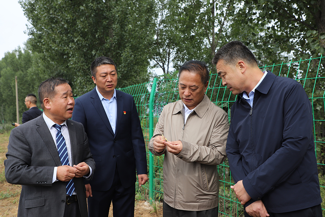 1664259698.jpg 修悔改8.jpg