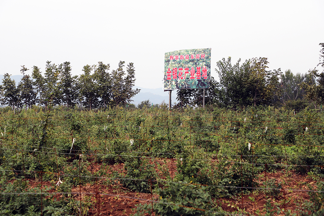 1664259712.jpg 修悔改18.jpg