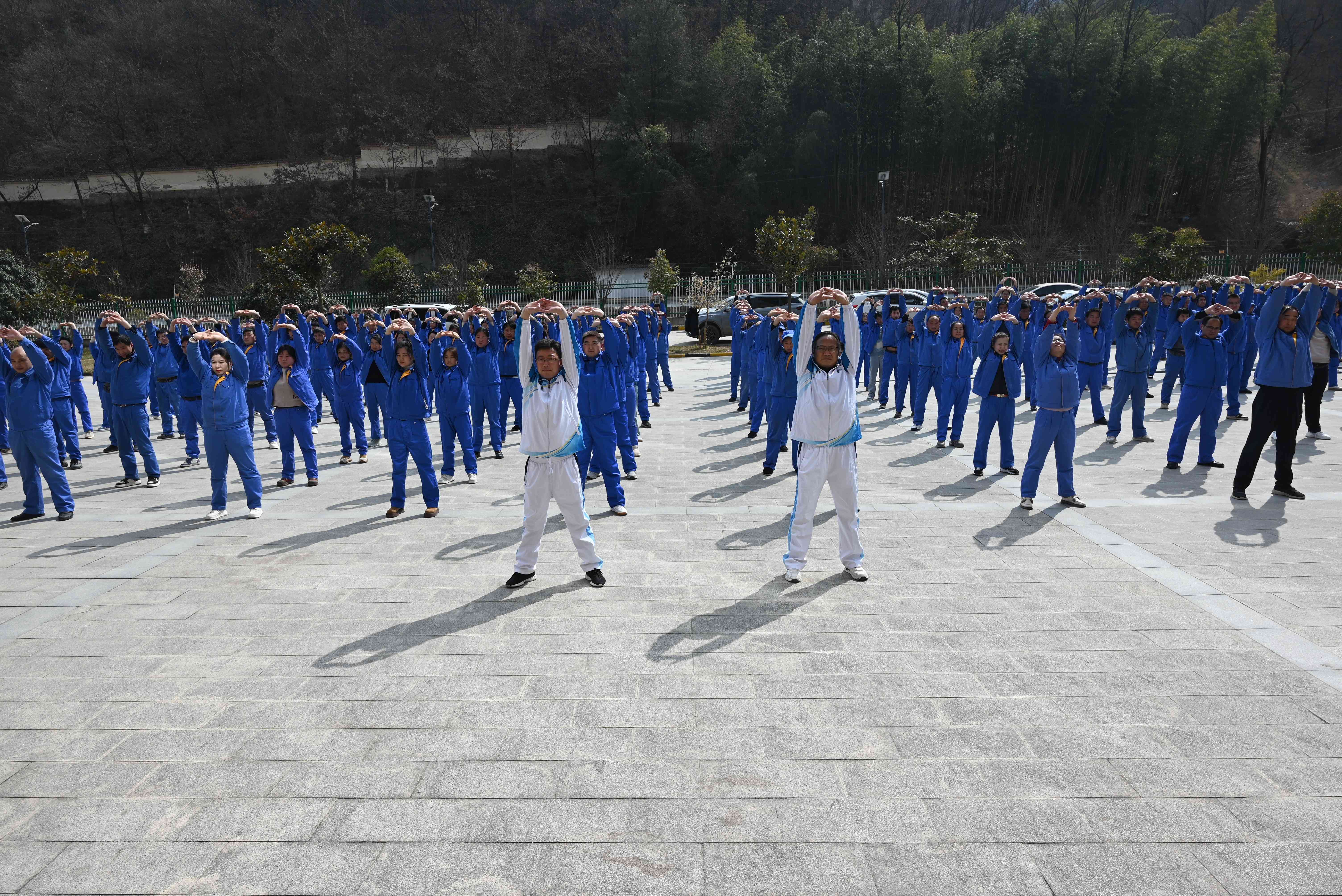 1743061523.jpg 56c621cbbb5642625815f2ad61044e6.jpg